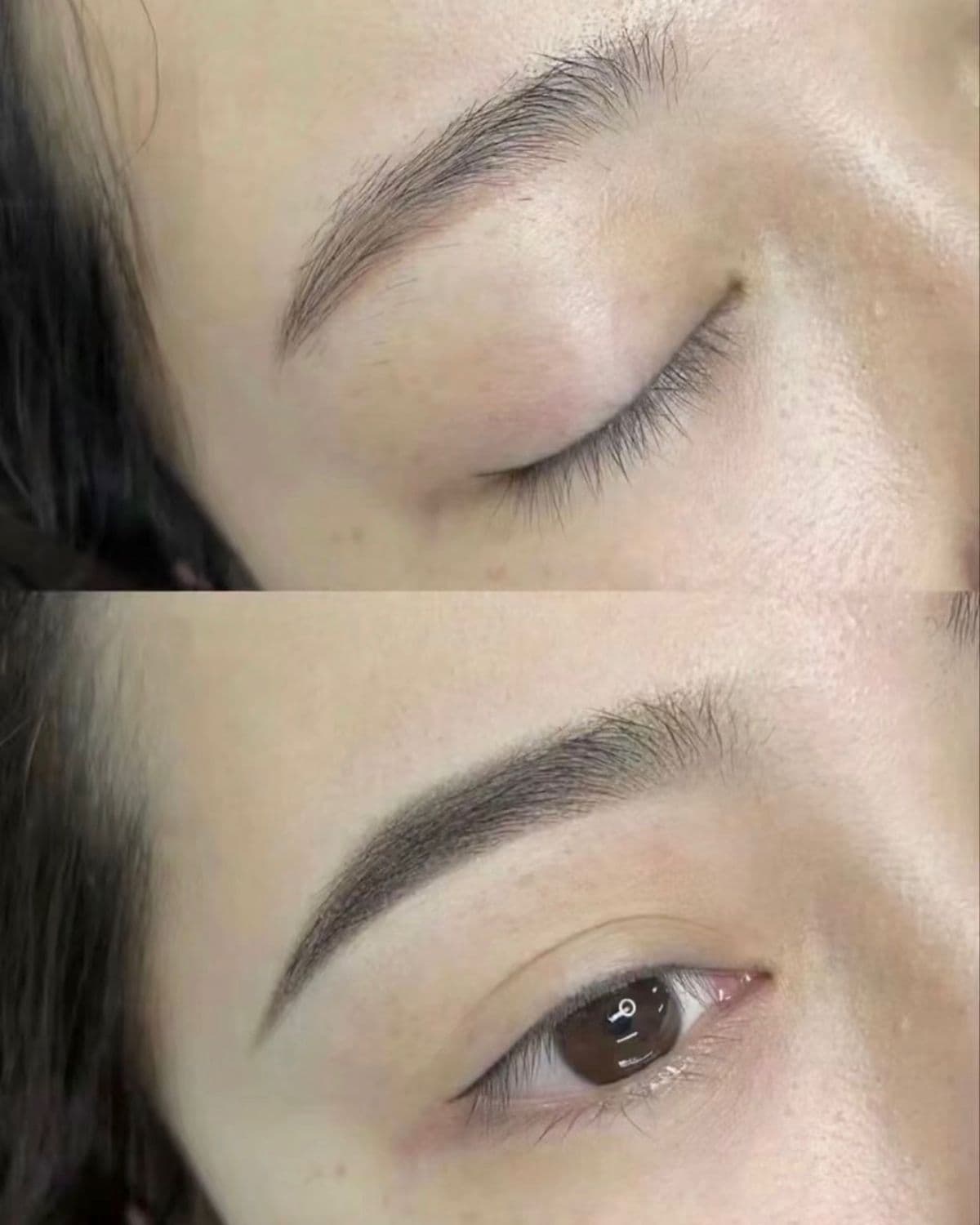 powderbrows
